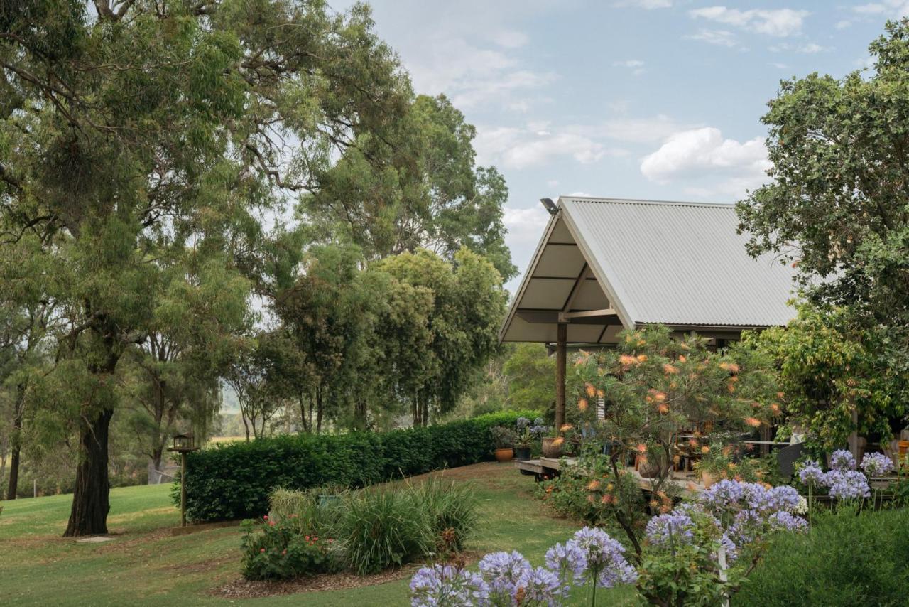 Elfin Hill Vineyard Accommodation Pokolbin Esterno foto