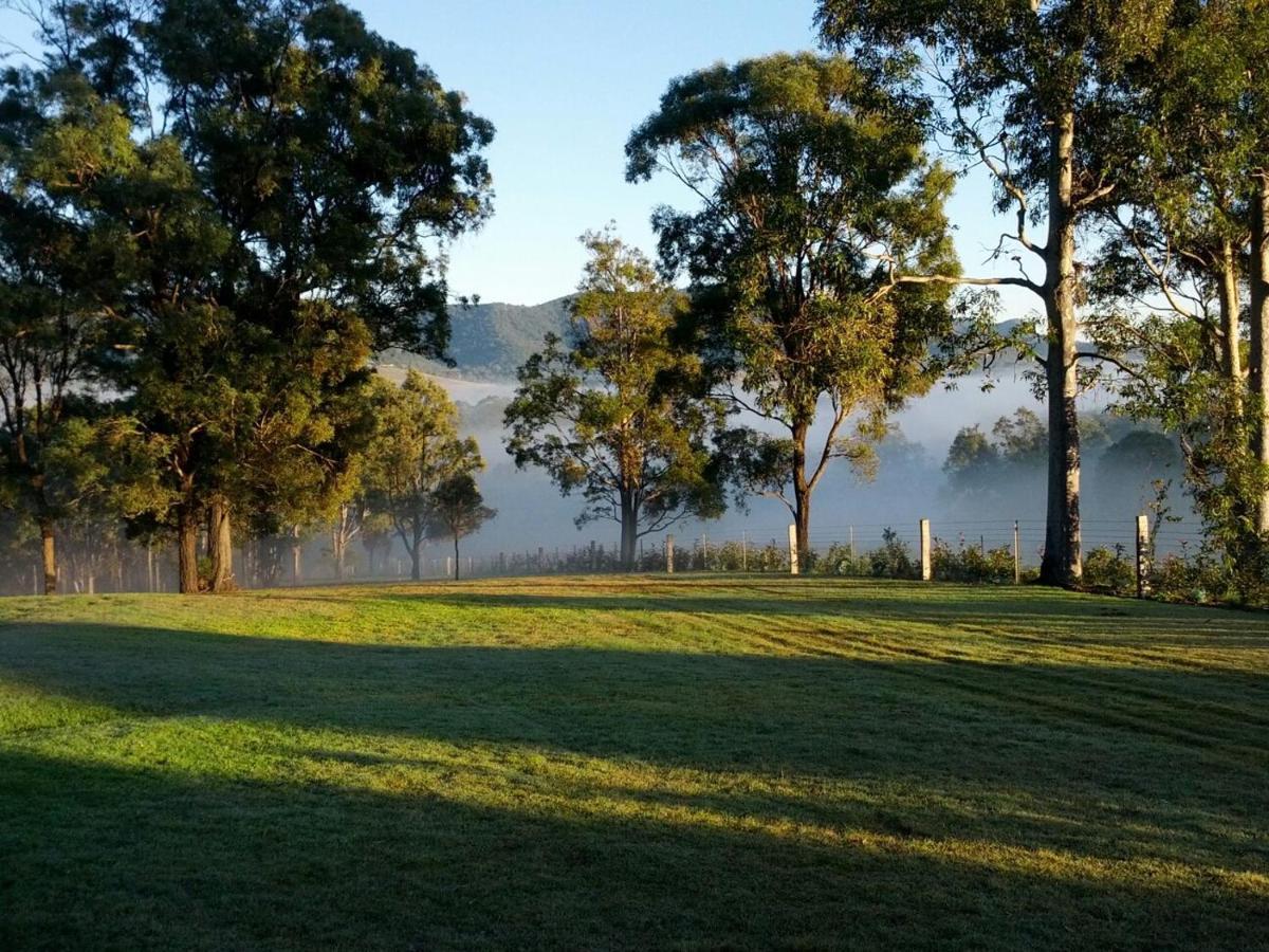 Elfin Hill Vineyard Accommodation Pokolbin Esterno foto