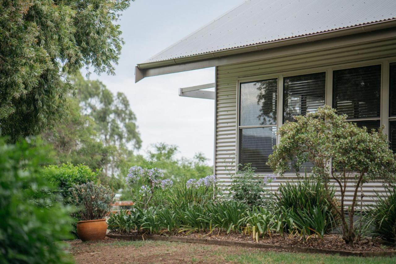 Elfin Hill Vineyard Accommodation Pokolbin Esterno foto