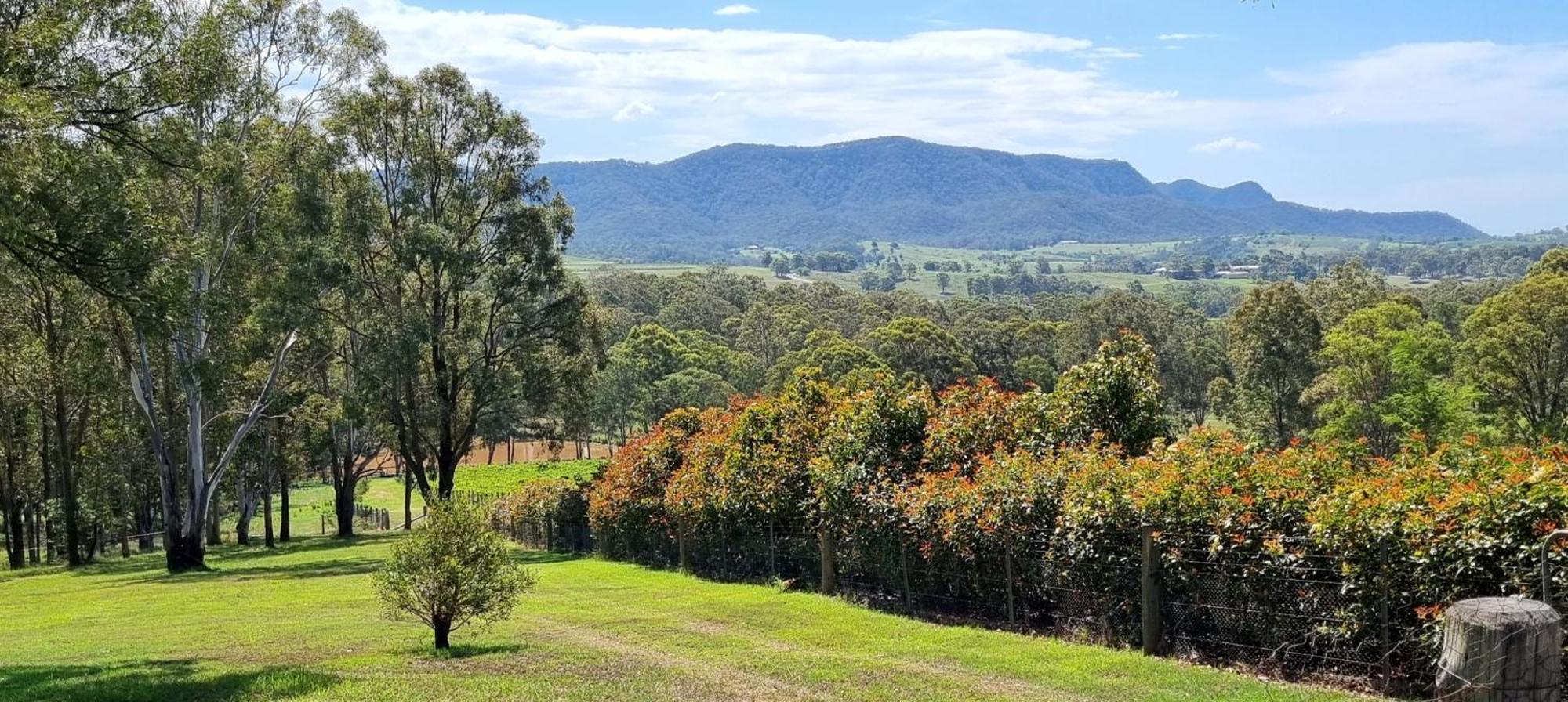 Elfin Hill Vineyard Accommodation Pokolbin Esterno foto