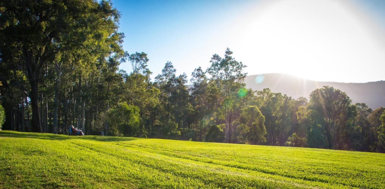 Elfin Hill Vineyard Accommodation Pokolbin Esterno foto